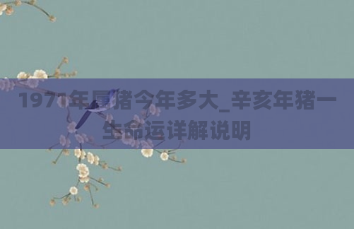 1971年属猪今年多大_辛亥年猪一生命运详解说明