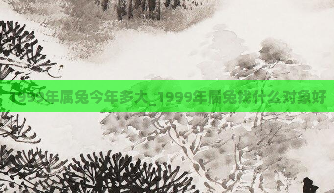 1999年属兔今年多大_1999年属兔找什么对象好