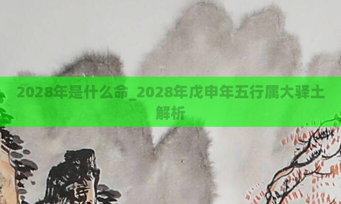 2028年是什么命_2028年戊申年五行属大驿土解析