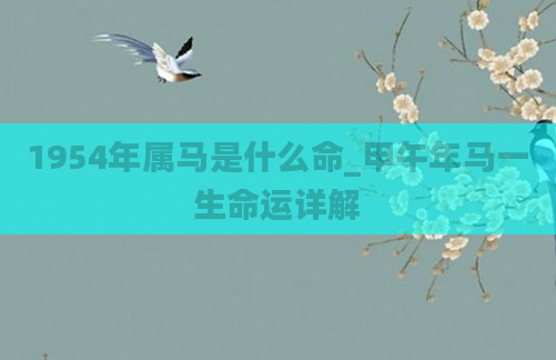 1954年属马是什么命_甲午年马一生命运详解