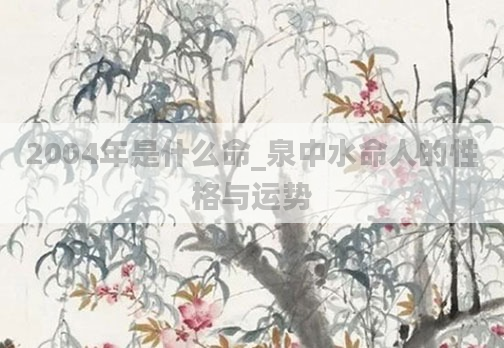 2004年是什么命_泉中水命人的性格与运势