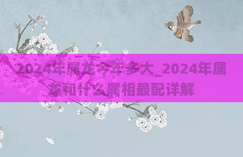 2024年属龙今年多大_2024年属龙和什么属相最配详解