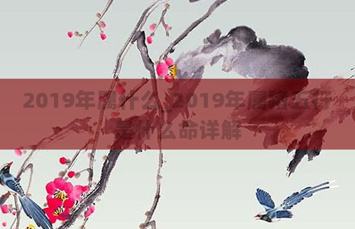 2019年属什么_2019年属猪五行是什么命详解