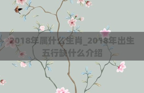 2018年属什么生肖_2018年出生五行缺什么介绍