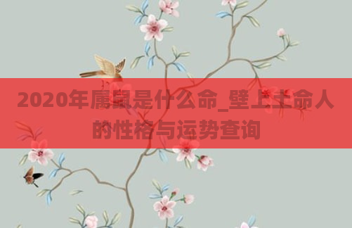2020年属鼠是什么命_壁上土命人的性格与运势查询