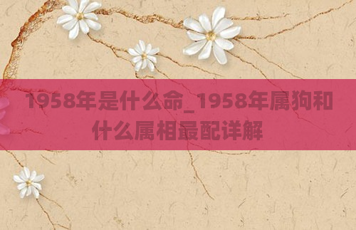 1958年是什么命_1958年属狗和什么属相最配详解