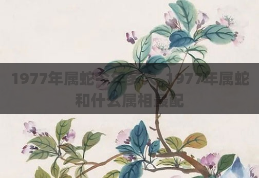 1977年属蛇今年多大_1977年属蛇和什么属相最配