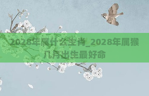 2028年属什么生肖_2028年属猴几月出生最好命