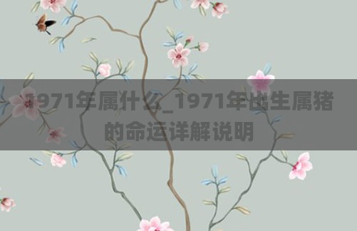 1971年属什么_1971年出生属猪的命运详解说明