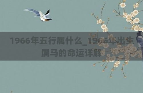 1966年五行属什么_1966年出生属马的命运详解