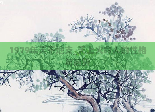 1979年天干地支_天上火命人的性格与运势