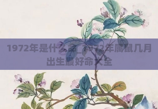 1972年是什么命_1972年属鼠几月出生最好命大全
