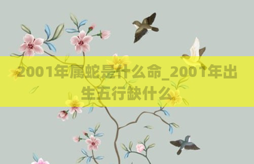 2001年属蛇是什么命_2001年出生五行缺什么