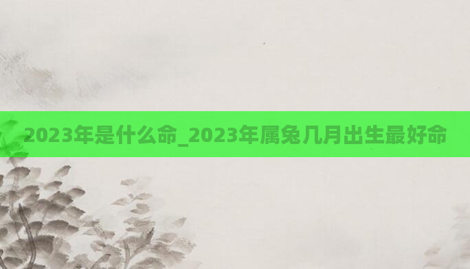 2023年是什么命_2023年属兔几月出生最好命