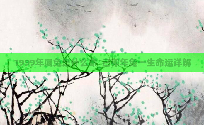1999年属兔是什么命_己卯年兔一生命运详解