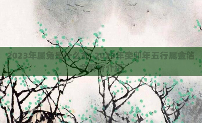 2023年属兔是什么命_2023年癸卯年五行属金箔金解析介绍