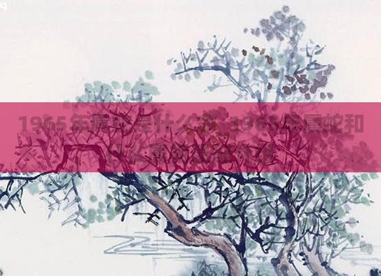 1965年属蛇是什么命_1965年属蛇和什么属相最配介绍