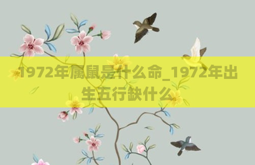 1972年属鼠是什么命_1972年出生五行缺什么