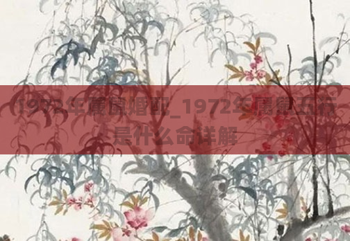 1972年属鼠婚配_1972年属鼠五行是什么命详解