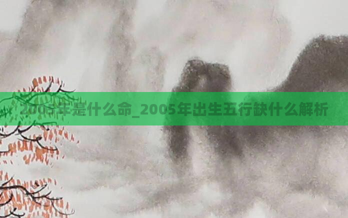 2005年是什么命_2005年出生五行缺什么解析