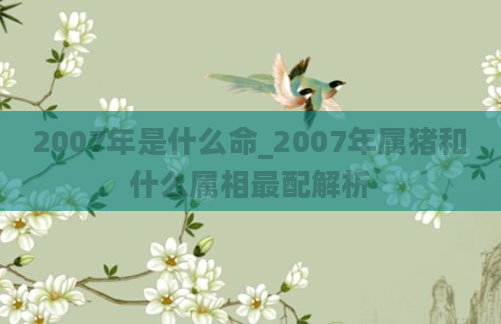2007年是什么命_2007年属猪和什么属相最配解析