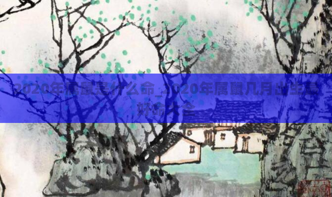 2020年属鼠是什么命_2020年属鼠几月出生最好命大全