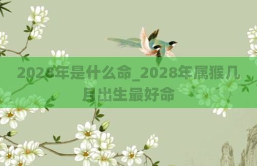 2028年是什么命_2028年属猴几月出生最好命