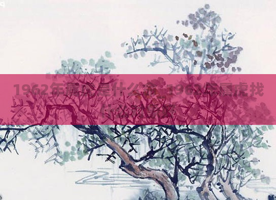 1962年属虎是什么命_1962年属虎找什么对象好