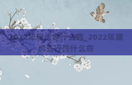 2022年属虎是什么命_2022年属虎五行是什么命