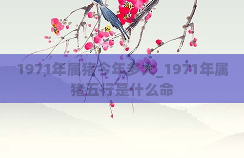 1971年属猪今年多大_1971年属猪五行是什么命