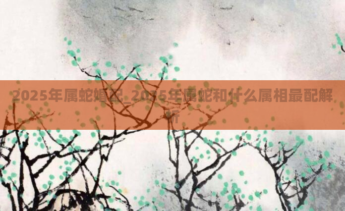 2025年属蛇婚配_2025年属蛇和什么属相最配解析