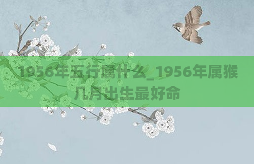 1956年五行属什么_1956年属猴几月出生最好命