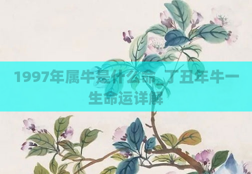 1997年属牛是什么命_丁丑年牛一生命运详解