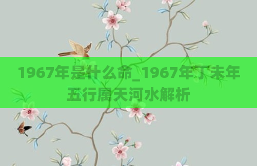 1967年是什么命_1967年丁未年五行属天河水解析