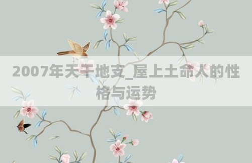 2007年天干地支_屋上土命人的性格与运势