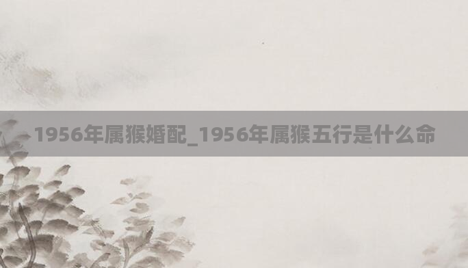 1956年属猴婚配_1956年属猴五行是什么命