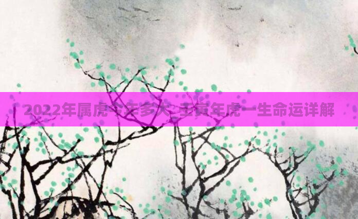 2022年属虎今年多大_壬寅年虎一生命运详解