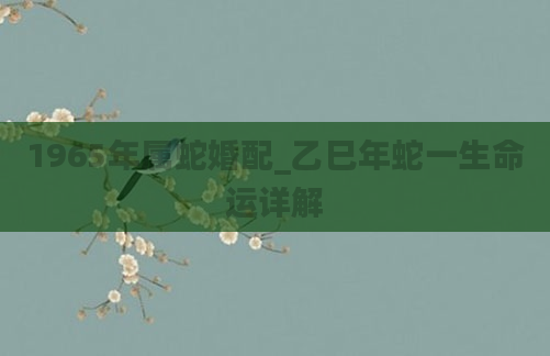 1965年属蛇婚配_乙巳年蛇一生命运详解