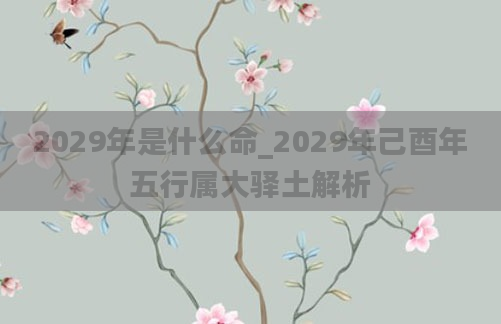 2029年是什么命_2029年己酉年五行属大驿土解析