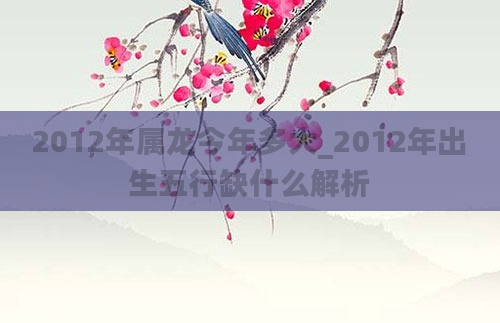 2012年属龙今年多大_2012年出生五行缺什么解析