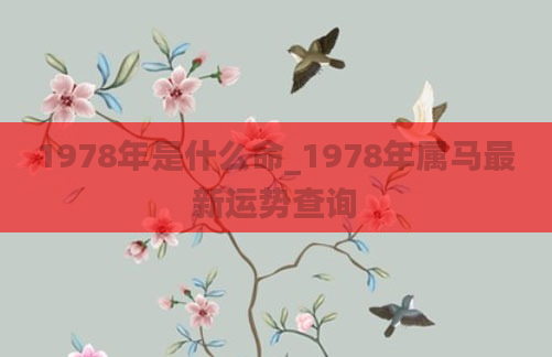 1978年是什么命_1978年属马最新运势查询