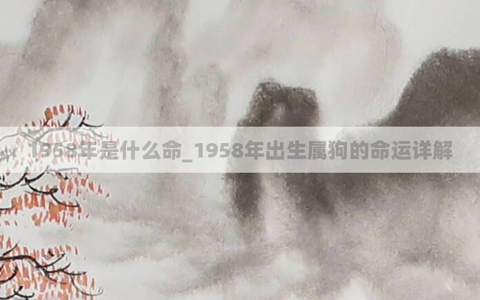 1958年是什么命_1958年出生属狗的命运详解
