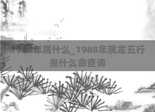 1988年属什么_1988年属龙五行是什么命查询