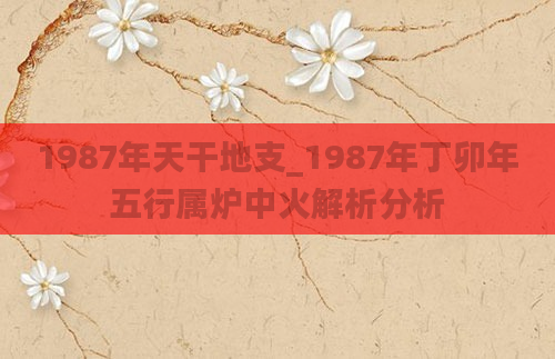 1987年天干地支_1987年丁卯年五行属炉中火解析分析