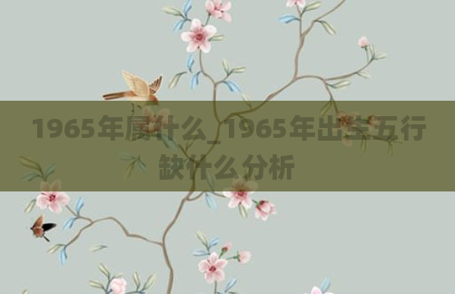 1965年属什么_1965年出生五行缺什么分析