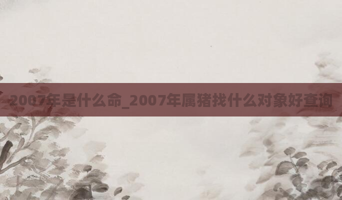 2007年是什么命_2007年属猪找什么对象好查询