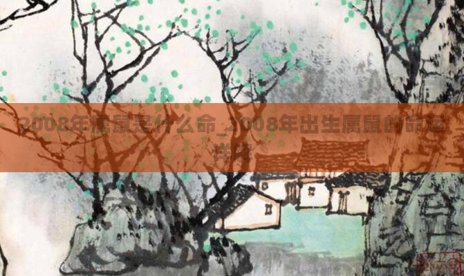 2008年属鼠是什么命_2008年出生属鼠的命运详解