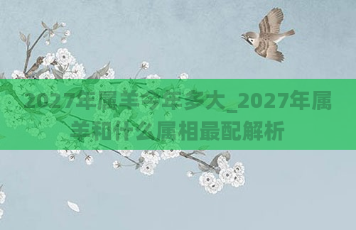2027年属羊今年多大_2027年属羊和什么属相最配解析