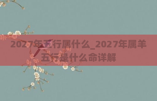 2027年五行属什么_2027年属羊五行是什么命详解