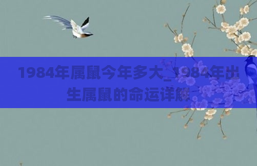 1984年属鼠今年多大_1984年出生属鼠的命运详解